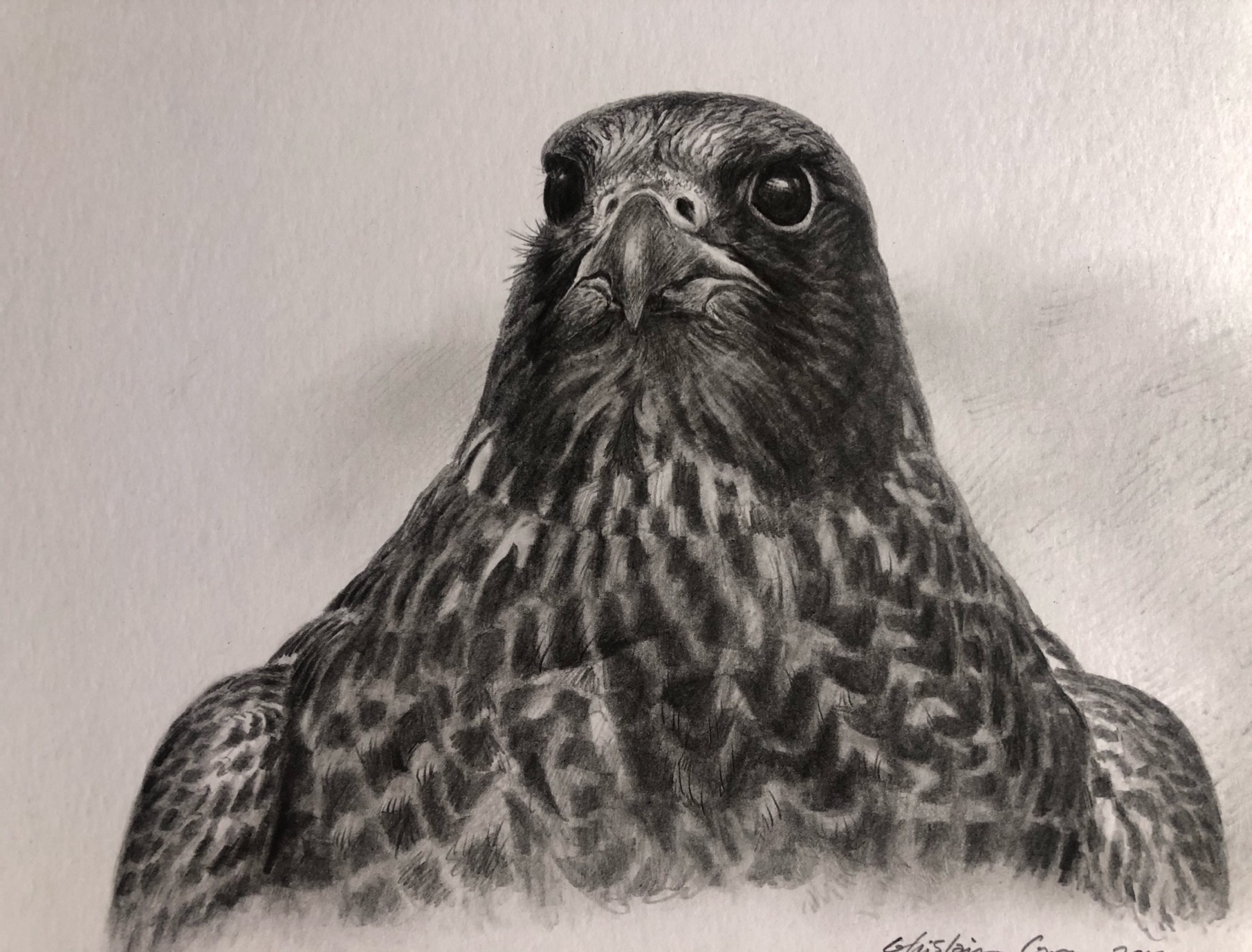 Upcoming book from Glengarry Falcons